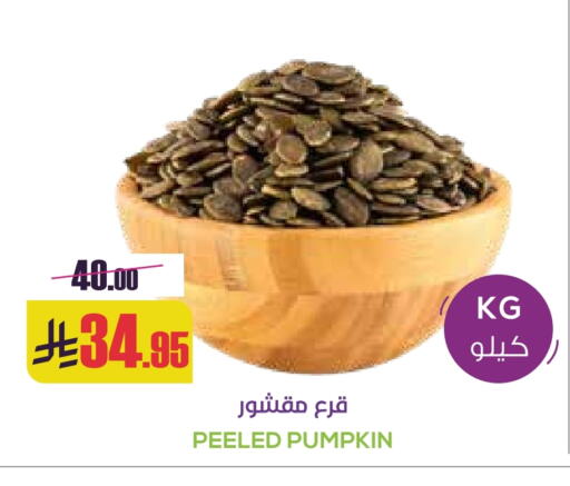 Pumpkin available at Sapt in KSA, Saudi Arabia, Saudi - Buraidah