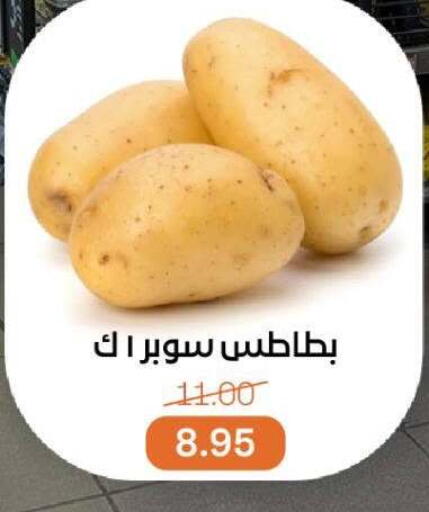 بطاطا available at بيت الجملة in Egypt - القاهرة