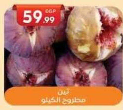 available at El mhallawy Sons in Egypt - Cairo