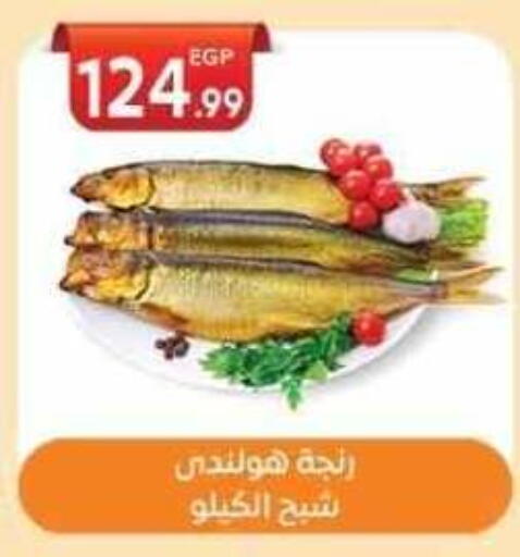 available at أولاد المحاوى in Egypt - القاهرة
