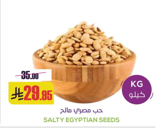 available at Sapt in KSA, Saudi Arabia, Saudi - Buraidah