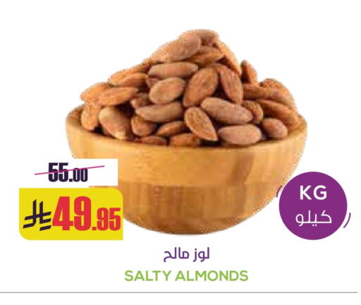 available at Sapt in KSA, Saudi Arabia, Saudi - Buraidah