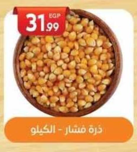available at El mhallawy Sons in Egypt - Cairo