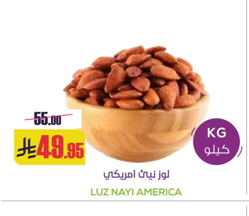 available at Sapt in KSA, Saudi Arabia, Saudi - Buraidah