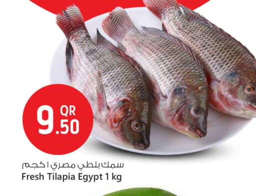 available at Safari Hypermarket in Qatar - Al Rayyan