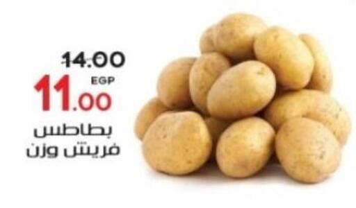 بطاطا available at جلهوم ماركت in Egypt - القاهرة