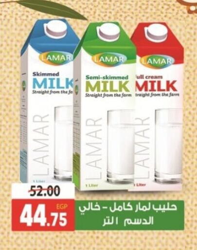 Full Cream Milk available at Galhom Market in Egypt - Cairo