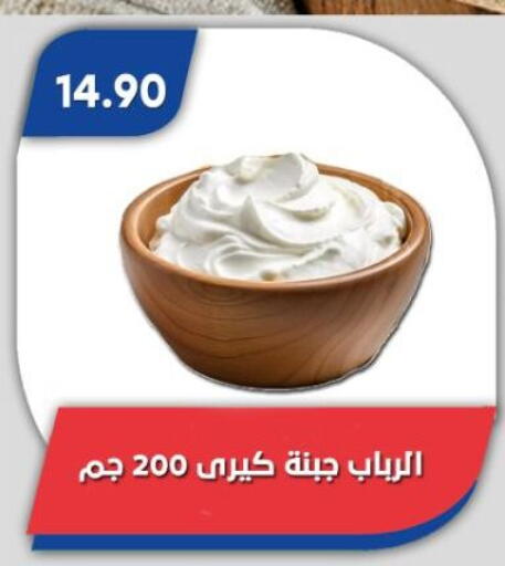 available at باسم ماركت in Egypt - القاهرة