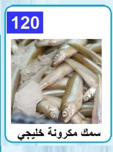 available at Hyper Meeza Egypt  in Egypt - Cairo
