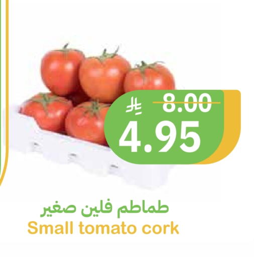 Tomato available at Qateba Markets in KSA, Saudi Arabia, Saudi - Buraidah