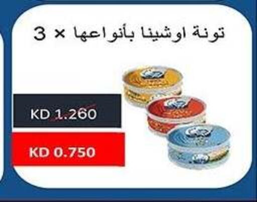 تونة - معلب available at جمعية فحيحيل التعاونية in الكويت - محافظة الأحمدي