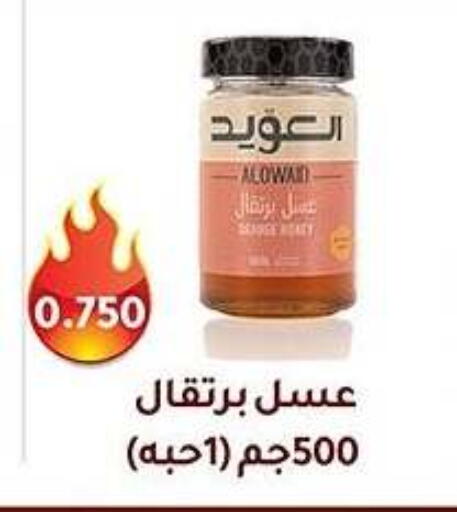 Honey available at Al Fahaheel Co - Op Society in Kuwait - Jahra Governorate