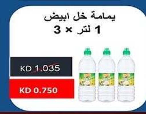 خل available at جمعية فحيحيل التعاونية in الكويت - محافظة الجهراء