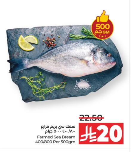 available at لولو هايبرماركت in مملكة العربية السعودية, السعودية, سعودية - عنيزة