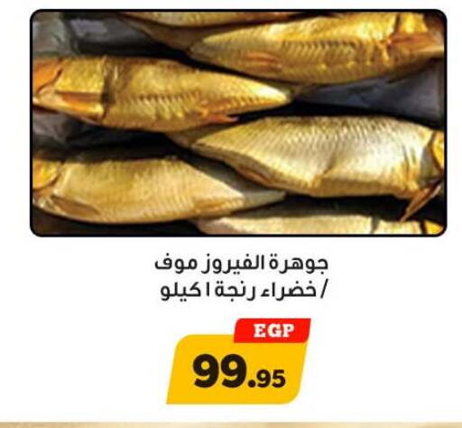 available at أولاد رجب in Egypt - القاهرة