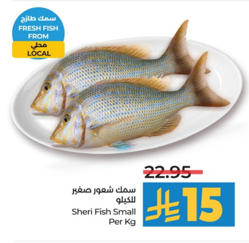 available at LULU Hypermarket in KSA, Saudi Arabia, Saudi - Jubail