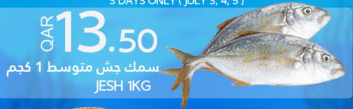 available at قصر الأغذية هايبرماركت in قطر - الوكرة