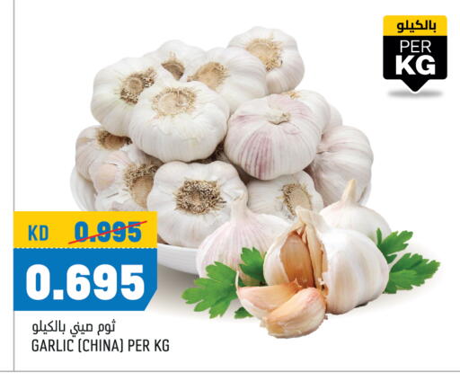 Garlic from China available at Oncost in Kuwait