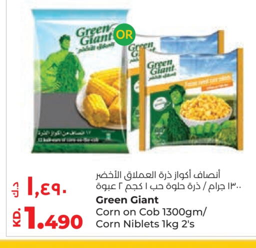 available at Lulu Hypermarket  in Kuwait - Ahmadi Governorate