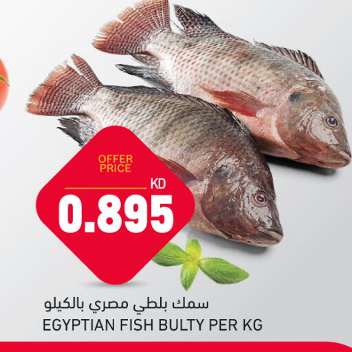 available at Oncost in Kuwait - Kuwait City