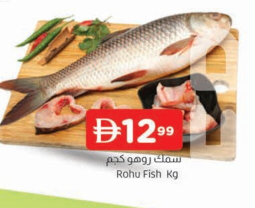 available at AL MADINA in UAE - Sharjah / Ajman