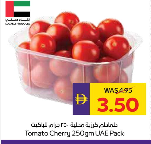 Tomato available at Megamart Supermarket  in UAE - Dubai