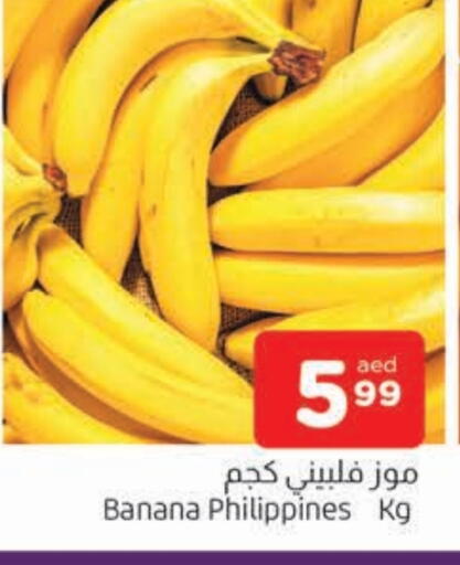 موز from Philippines available at المدينة in الإمارات العربية المتحدة , الامارات - الشارقة / عجمان