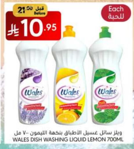 غسل الطبق in مانويل ماركت, المملكة العربية السعودية Offers - المملكة العربية السعودية Lemon available at مانويل ماركت in مملكة العربية السعودية, السعودية, سعودية - الرياض