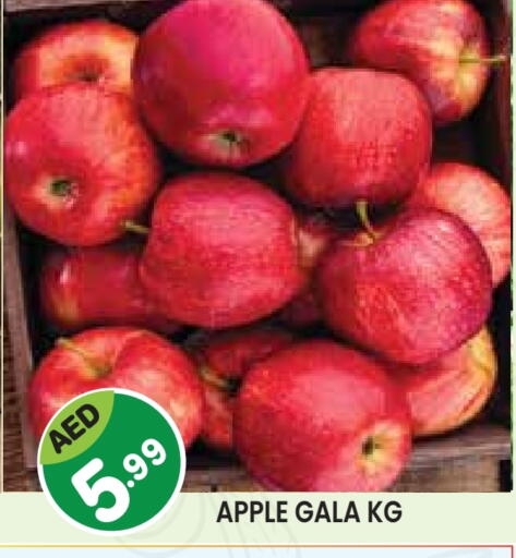 تفاح available at فريش سبايك سوبرماركت in الإمارات العربية المتحدة , الامارات - دبي
