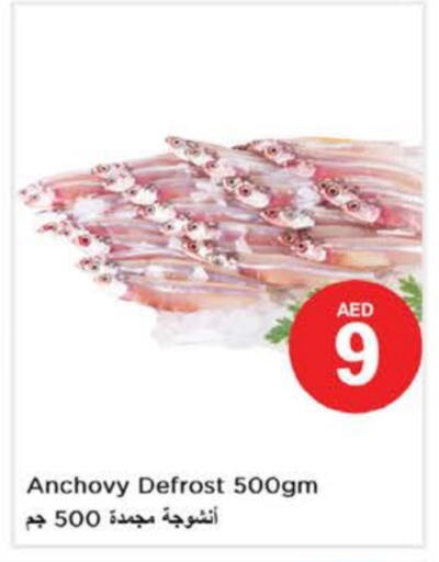 available at Nesto Hypermarket in UAE - Fujairah