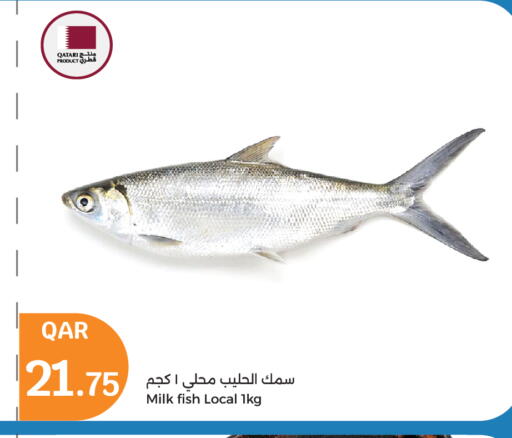 available at City Hypermarket in Qatar - Doha