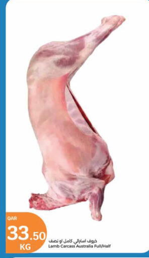 Mutton / Lamb available at City Hypermarket in Qatar - Al Shamal
