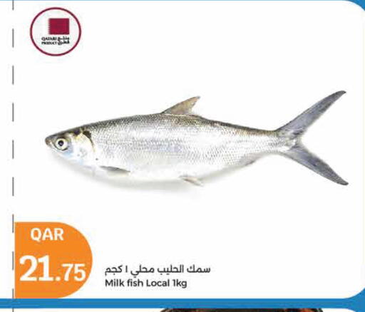 available at City Hypermarket in Qatar - Al Wakra