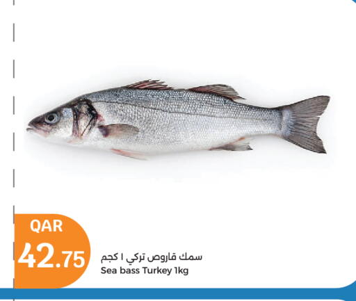 available at City Hypermarket in Qatar - Doha