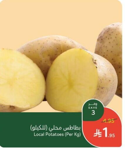 Potato available at Hyper Panda in KSA, Saudi Arabia, Saudi - Unayzah