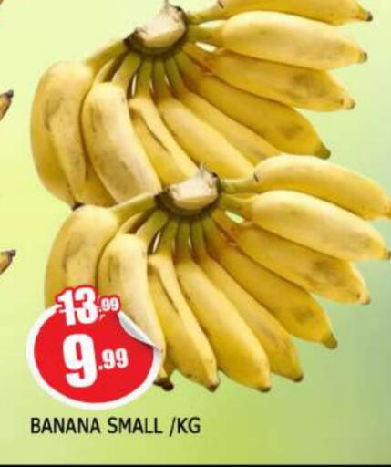 موز available at المدينة in الإمارات العربية المتحدة , الامارات - الشارقة / عجمان