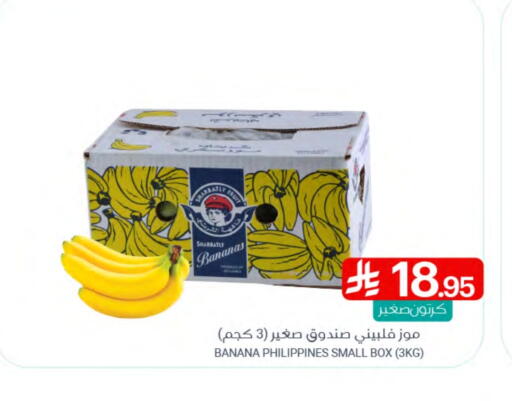 Banana from Philippines available at Muntazah Markets in KSA, Saudi Arabia, Saudi - Qatif