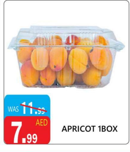 Apricot available at United Hypermarket in UAE - Dubai