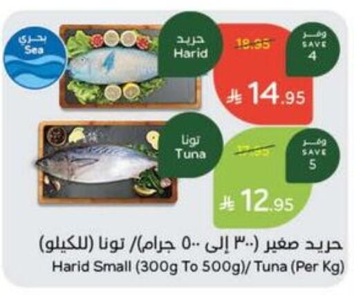 تونة available at هايبر بنده in مملكة العربية السعودية, السعودية, سعودية - تبوك