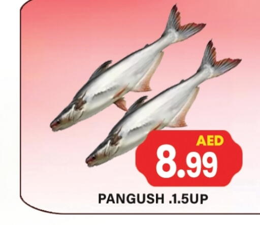 available at Zain Mart Supermarket in UAE - Ras al Khaimah
