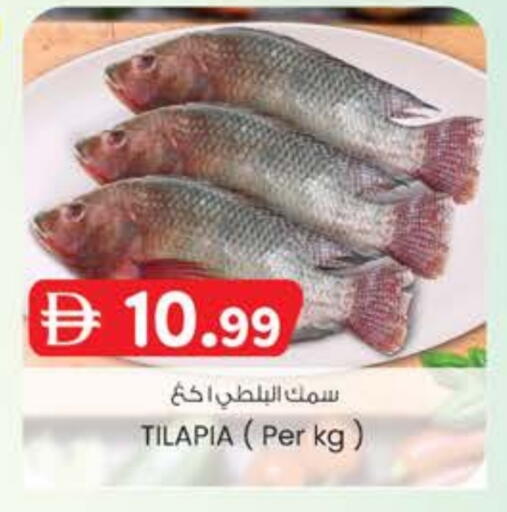available at Safa Express Supermarket in UAE - Abu Dhabi