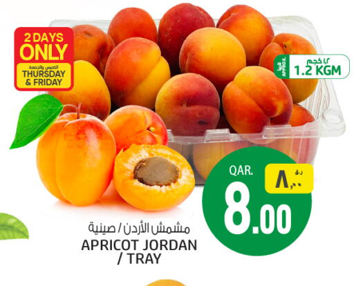 Apricot available at كنز ميني مارت in قطر - الضعاين