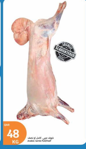 Mutton / Lamb available at City Hypermarket in Qatar - Al Shamal