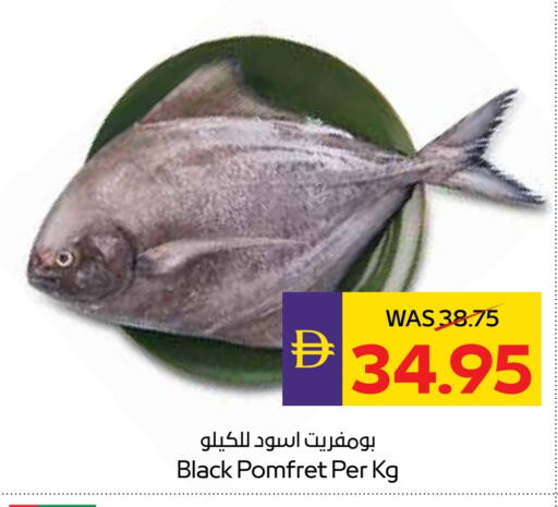 available at ADCOOP in UAE - Abu Dhabi