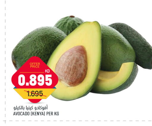 فاكهة طازجة in أونكوست, الكويت أفوكادو from Kenya available at أونكوست in الكويت