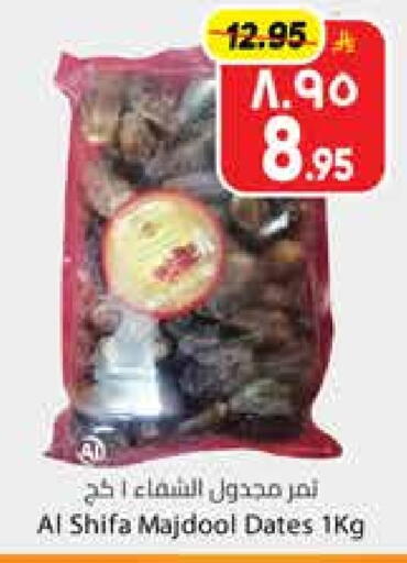 available at City Flower in KSA, Saudi Arabia, Saudi - Sakaka