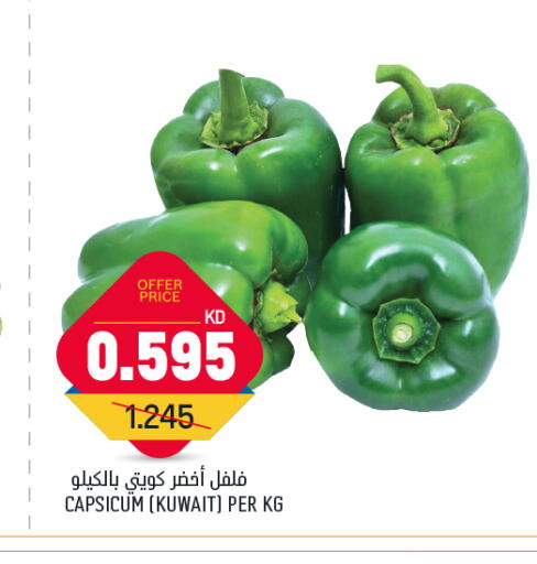 Chilli / Capsicum from Kuwait available at Oncost in Kuwait