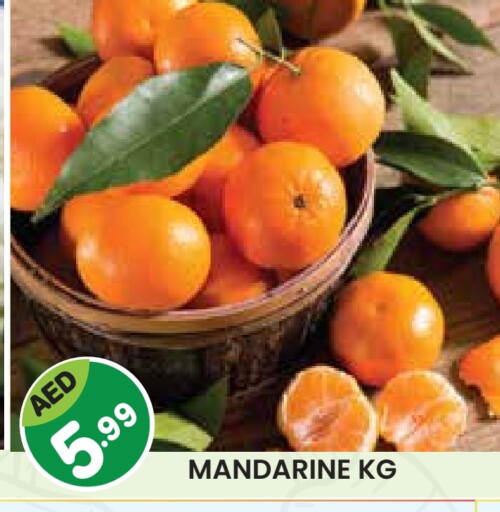 available at فريش سبايك سوبرماركت in الإمارات العربية المتحدة , الامارات - دبي