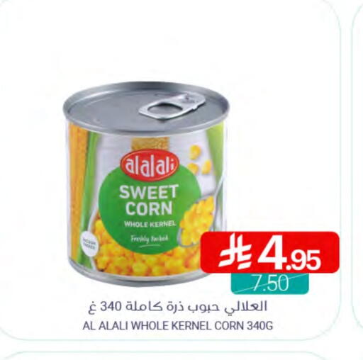 FRESHLY available at Muntazah Markets in KSA, Saudi Arabia, Saudi - Qatif