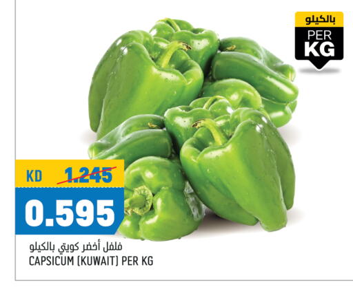 Chilli / Capsicum from Kuwait available at Oncost in Kuwait